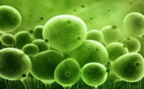 765548879500959035_副本.jpg 765548879500959035_副本.jpg