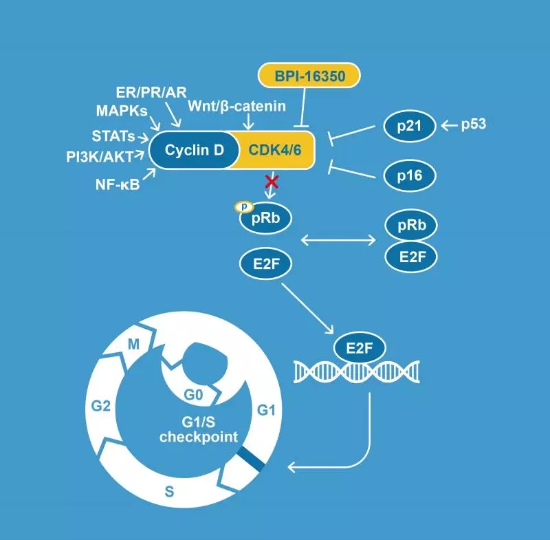 0.webp.jpg 0.webp.jpg