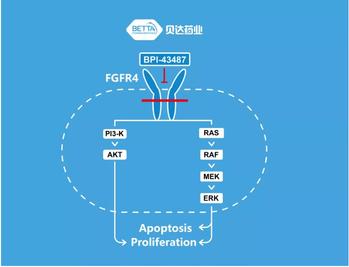 1578988488193040.png 2.png