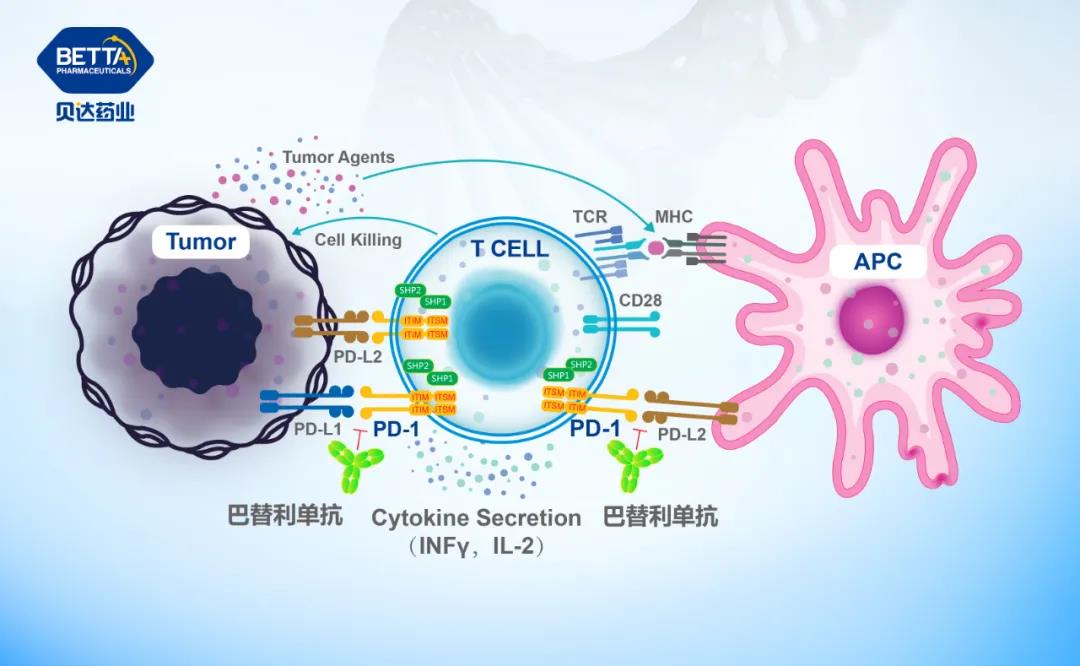 1627870475275317.jpg 微信图片_20210802101313.jpg