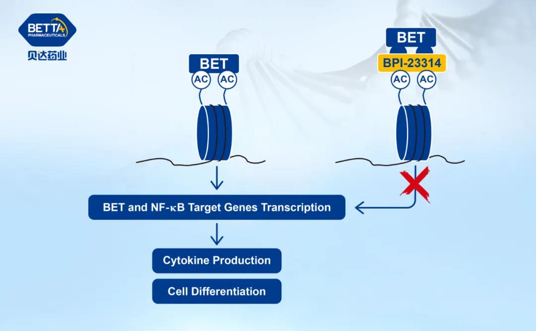 1630041497124654.jpg 2.jpg