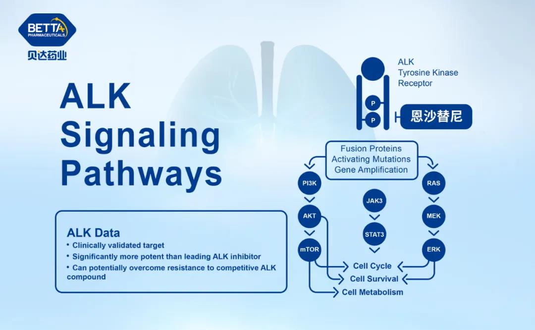 1630890149226347.jpg 3.jpg