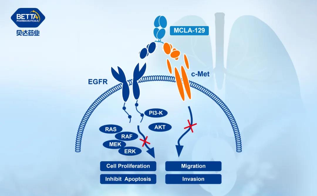 1634259467509496.jpg 2.jpg