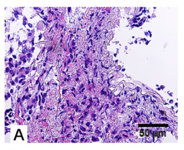 1657500289656277.png 微信图片_20220711084144.png