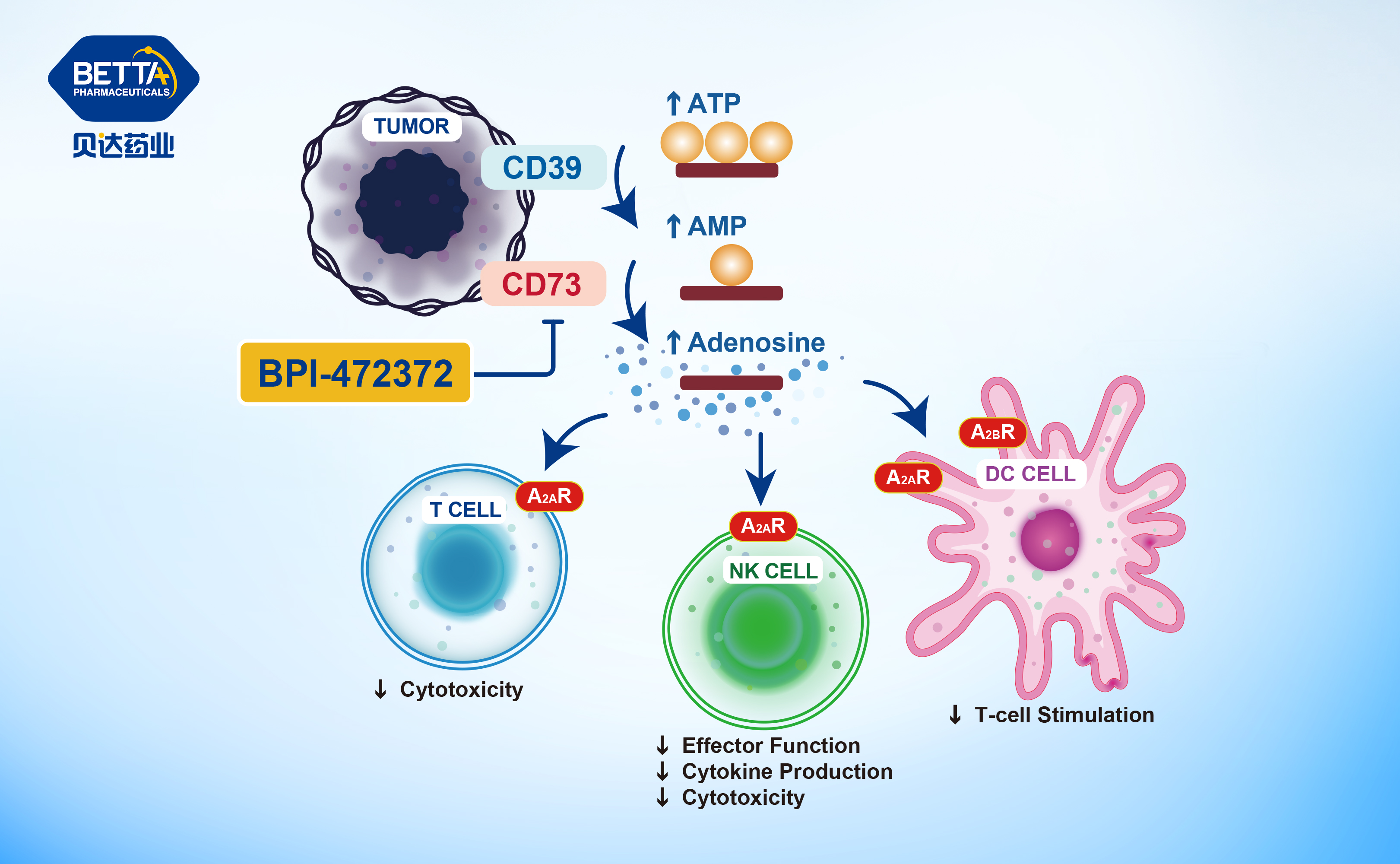 1673760086118328.jpg 0f493a4ebca013539d814901621623f9.jpg