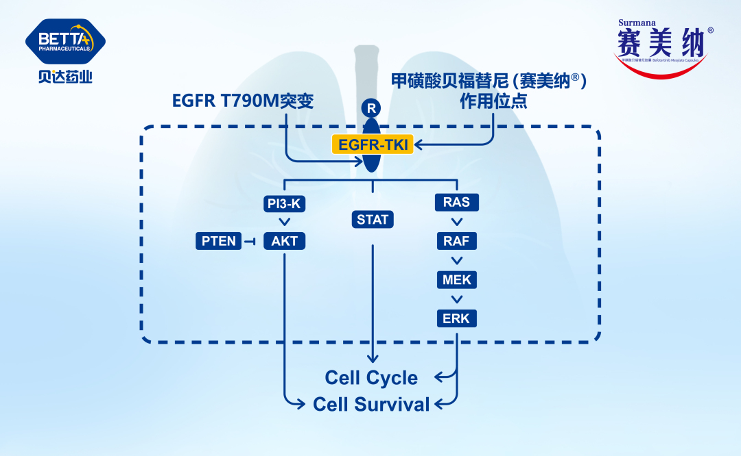 1689558800746593.jpg 微信图片_20230717095249.jpg
